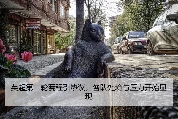 ying-chao-di-er-lun-sai-cheng-yin-re-yi-ge-dui-chu-jing-yu-ya-li-kai-shi-xian-xian-2-490.jpg